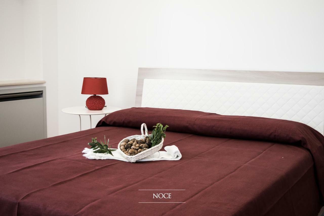 Tenuta Vigna Del Noce Corato Quarto foto